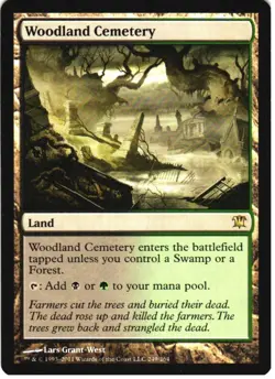WOODLAND CEMETERY 249 RARE INNISTRAD MAGIC: THE GATHERING LP - Image 1