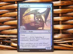 MTG Loyal Drake 0104 FOIL | NM Near Mint | CMM | 2023 - Image 1