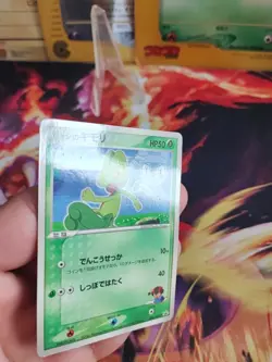 Pokemon Karte Card Ashs Treecko Geckarbor Adv Promo Shogakukan Adv japanese Exc+ - Image 3