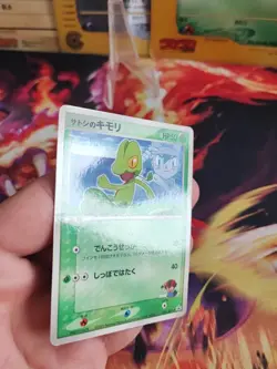 Pokemon Karte Card Ashs Treecko Geckarbor Adv Promo Shogakukan Adv japanese Exc+ - Image 4