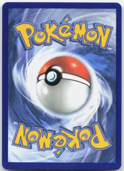 Mega Venusaur ex 013 Holo P ME: Mega Evolution Promo Pokemon Near Mint - Image 2