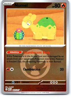 Numel (Energy Symbol) 027/217 Holo Ascended Heroes Pokemon Reverse Holo NM - Image 1