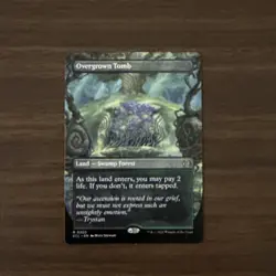 Overgrown Tomb (Borderless) Lorwyn Eclipsed Regular - Image 1