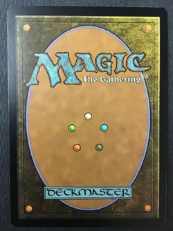MTG Modern Masters #217 Sword of Light and Shadow NM - Image 2