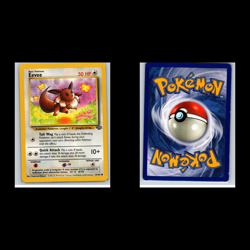 Pokemon TCG - Eevee 14-Card Lot No Duplicates - Image 3