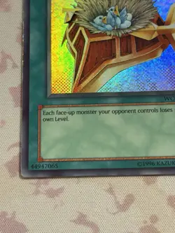 Yu-Gi-Oh! Burden of the Mighty Super Rare (WC08-EN002) Unl. Ed MP - Image 5