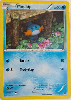 Pokemon TCG Mudkip 5/12 McDonald's 2014 Promo Holo - Image 1