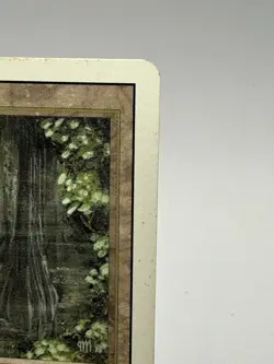 Magic the Gathering Bayou Revised Edition Dual Land Card - Image 2