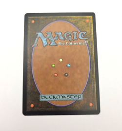 Sacred Foundry - GTC 245/249 - Regular Lightly Played - Image 2