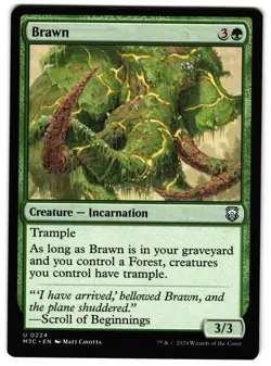 Brawn 224 - NM - Commander: Modern Horizons 3 U - Image 1
