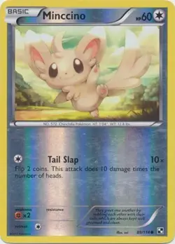 Heavily Played, English Pokemon Reverse Holo Minccino - 88/114 - Common - Revers - Image 1