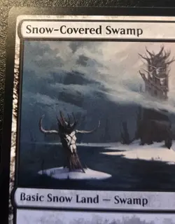 Snow-Covered Swamp 280/285 Land Kaldheim Magic: The Gathering - Image 2