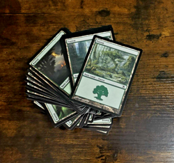 MTG 100 Basic Forest Land Lot Magic: the Gathering Only Forests x100 - Image 2