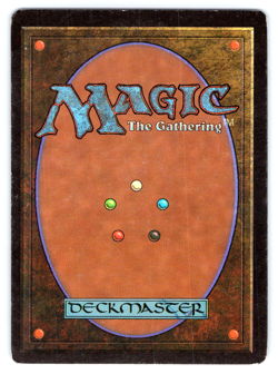 Island (B) HP - Beta Edition 1993 - MTG - Image 2