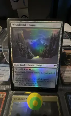 Woodland Chasm Kaldheim Foil - Image 1
