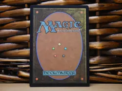 MTG Kodama's Reach 0649 BORDERLESS | NM Near Mint | CMM | 2023 - Image 2