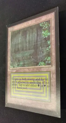 MTG Magic the Gathering International Edition Bayou LP Light Play Condition!! - Image 3