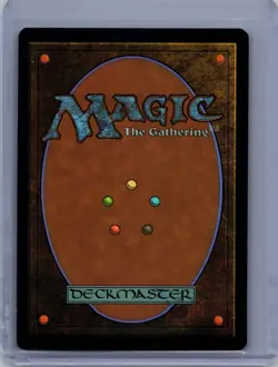 Plains Showcase 277 Dominaria United MTG LP - Image 2