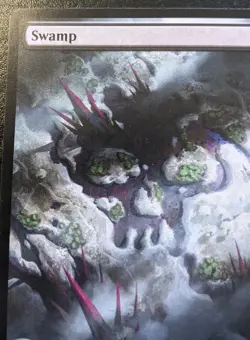 Swamp (Full Art) 0274 OTJ Land Outlaws Of Thunder Junction Magic: The Gathering - Image 2