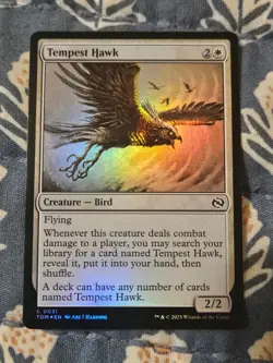 MTG Tempest Hawk FOIL Tarkir: Dragonstorm MTG Magic - Image 1
