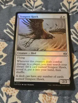 MTG Tempest Hawk FOIL Tarkir: Dragonstorm MTG Magic - Image 2