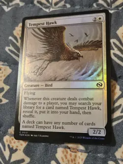 MTG Tempest Hawk FOIL Tarkir: Dragonstorm MTG Magic - Image 3