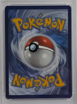 Tirtouga 2025 Pokemon Black English Illustration Rare #106 PSA 9 MINT - Image 3