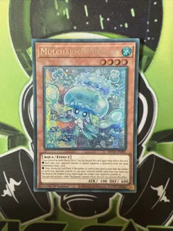 MP25-EN085 Mulcharmy Purulia Prismatic Secret Rare 1st Edition YuGiOh NM - Image 1