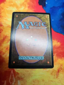Tradewind Rider - Tempest (TMP) - LP - Image 2
