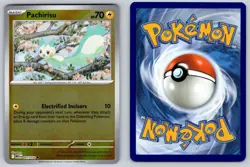 Pachirisu 051/132 Reverse Holo Common Mega Evolution Pokemon Near Mint - Image 3