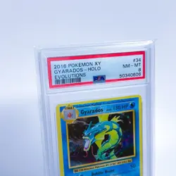 2016 Pokemon XY Gyarados Foil Evolutions #34 Psa 8 - Image 3
