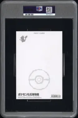 2022 POKEMON FOSSIL MUSEUM POSTCARD PIKACHU & FOSSIL POKEMON PSA 8 - Image 2