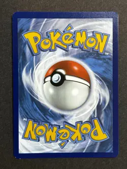 Fidough SVP 069 Black Star Promo Paldean Fates Pokemon TCG NM/MINT - Image 2