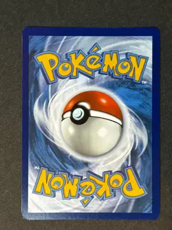 Fidough SVP 069 Black Star Promo Paldean Fates Pokemon TCG NM/MINT - Image 3