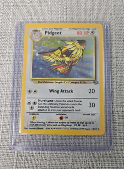 Pidgeot Jungle set holo 8/64 pokemon card - Image 1