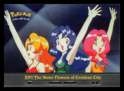 NM - Pokemon Topps The Water Flowers of Cerulean City #EP7 TV Animation Edition - Image 1