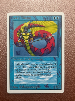 60 Unlimited lands. 4 of each and other unlimited cards.MTG Magic the gathering - Image 4