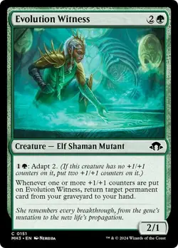 EVOLUTION WITNESS x4 mtg NM-M Modern Horizons 3 Common - Image 1