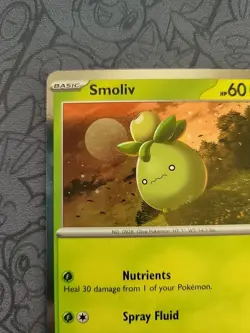Pokemon: Smoliv SVP023 Holo Rare Promo Scarlet & Violet SVP 2023 - LP - G29 - Image 3
