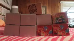 pokemon card lot 4000+ - Image 1