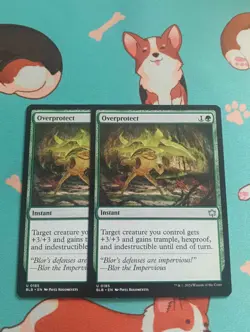 MTG Magic the Gathering - Overprotect x2 - Bloomburrow - Image 1