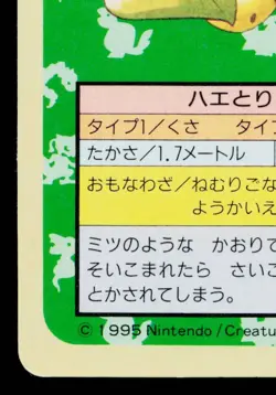 VICTREEBEL TOPSUN BLUE BACK JAPANESE POKEMON TCG - Image 4
