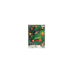 Dragon Ball Super Card Game FB07-122 [SCR]: Son Goku: GT Used - Image 2