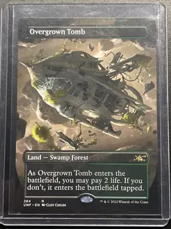 Overgrown Tomb (Borderless) Unfinity Regular - Image 1