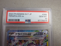 Terapagos EX 088 PSA 10 2024 Pokemon SV7 JP - FREE SHIPPING - Image 2