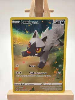 Poochyena GG33/GG70 Holo Rare Crown Zenith Pokemon Cards - Image 1