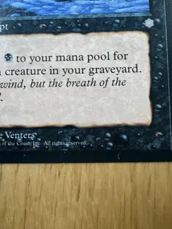 MTG Songs of the Damned Ice Age Regular Common LP - Image 4