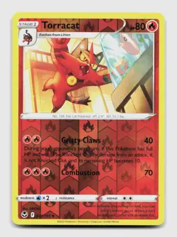 Torracat 031/195 Uncommon SIT Silver Tempest Pokemon Reverse Holo NM/M - Image 1