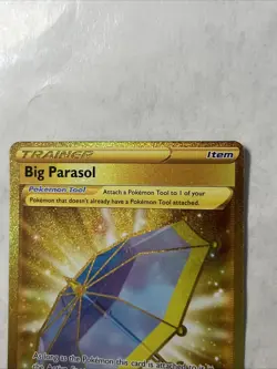 NM Big Parasol 199/189 Pokemon TCG Secret Rare Holo Darkness Ablaze - Image 2