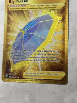 NM Big Parasol 199/189 Pokemon TCG Secret Rare Holo Darkness Ablaze - Image 3